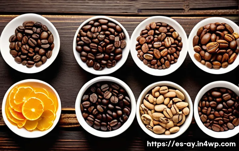 커피 원산지 탐방기 블로그 작성법 관련 이미지 2