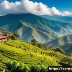 Home 21 커피 원산지 탐방을 위한 패키지 여행 추천 - A vibrant Colombian coffee farm scene in the Eje Cafetero region featuring lush green coffee plants ...