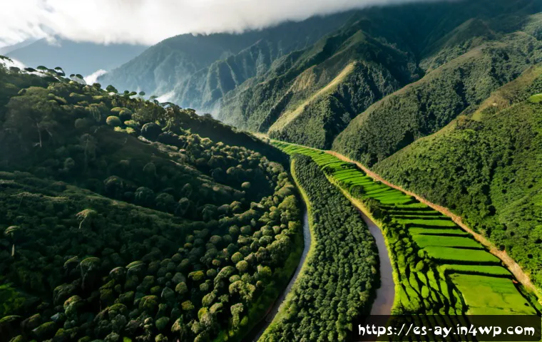 Home 17 커피 재배의 생태적 영향 - Photorealistic aerial view of a shaded coffee farm in the Colombian Andes, healthy coffee shrubs gro...