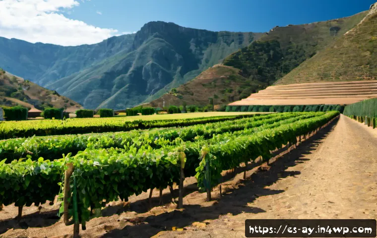 Cómo elegir café con menor impacto ambiental: cultivo, certificaciones y criterios para comparar proveedores 4 커피 재배의 생태적 영향 관련 이미지 2